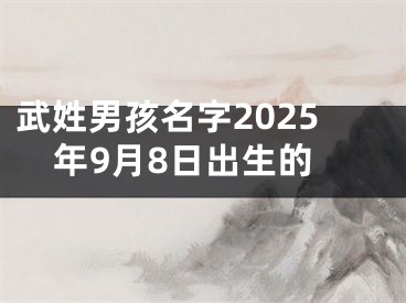武姓男孩名字2025年9月8日出生的