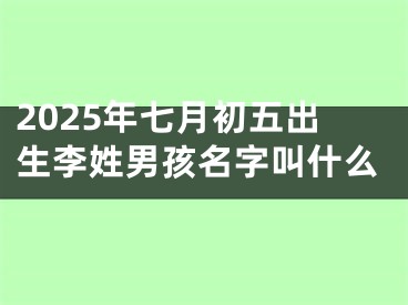 2025年七月初五出生李姓男孩名字叫什么