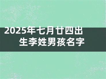 2025年七月廿四出生李姓男孩名字