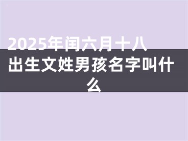 2025年闰六月十八出生文姓男孩名字叫什么