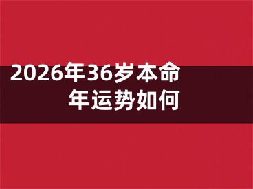 2026年36岁本命年运势如何