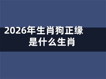 2026年生肖狗正缘是什么生肖