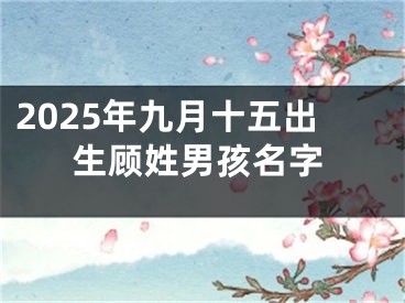 2025年九月十五出生顾姓男孩名字
