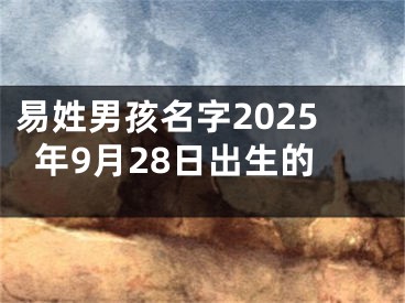 易姓男孩名字2025年9月28日出生的
