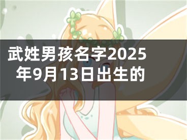 武姓男孩名字2025年9月13日出生的