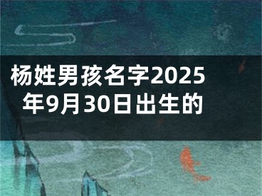 杨姓男孩名字2025年9月30日出生的