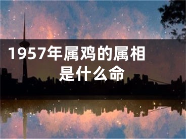 1957年属鸡的属相是什么命
