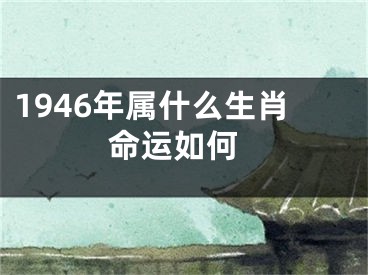 1946年属什么生肖 命运如何