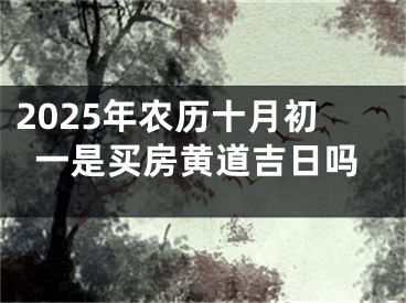 2025年农历十月初一是买房黄道吉日吗