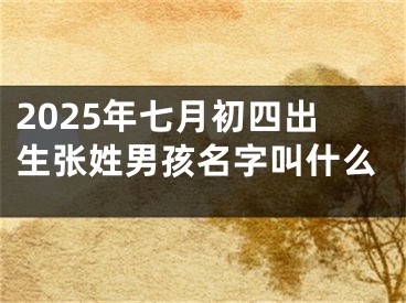 2025年七月初四出生张姓男孩名字叫什么