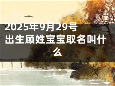 2025年9月29号出生顾姓宝宝取名叫什么