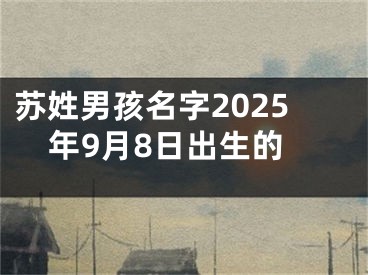 苏姓男孩名字2025年9月8日出生的