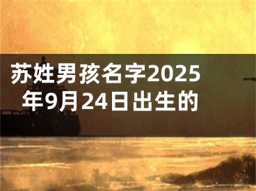 苏姓男孩名字2025年9月24日出生的