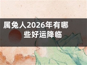 属兔人2026年有哪些好运降临