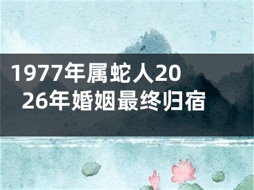 1977年属蛇人2026年婚姻最终归宿
