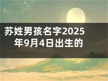 苏姓男孩名字2025年9月4日出生的