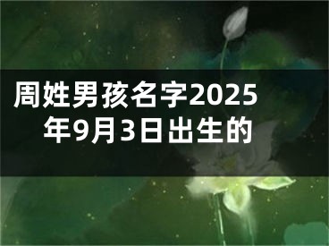 周姓男孩名字2025年9月3日出生的