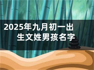2025年九月初一出生文姓男孩名字