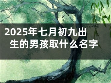 2025年七月初九出生的男孩取什么名字