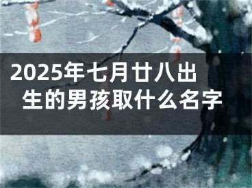 2025年七月廿八出生的男孩取什么名字