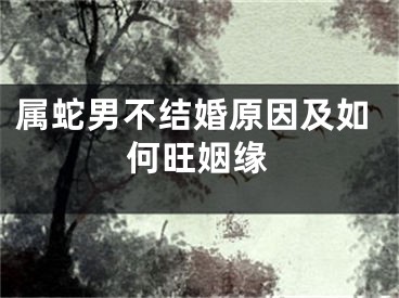属蛇男不结婚原因及如何旺姻缘
