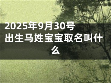 2025年9月30号出生马姓宝宝取名叫什么
