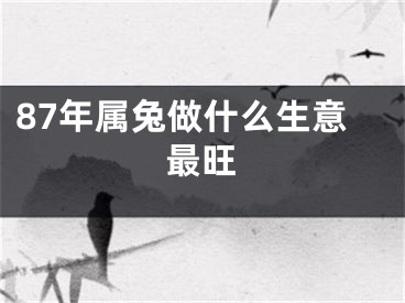 87年属兔做什么生意最旺