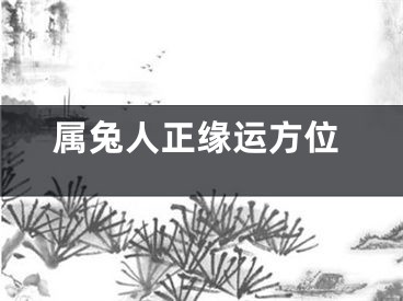 属兔人正缘运方位