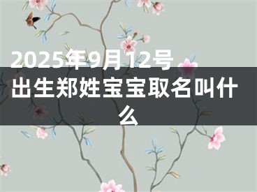 2025年9月12号出生郑姓宝宝取名叫什么