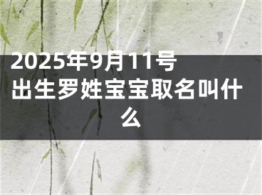 2025年9月11号出生罗姓宝宝取名叫什么