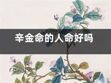 辛金命的人命好吗