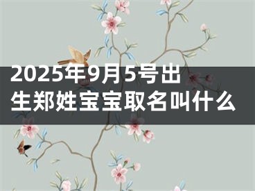 2025年9月5号出生郑姓宝宝取名叫什么