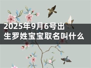 2025年9月6号出生罗姓宝宝取名叫什么