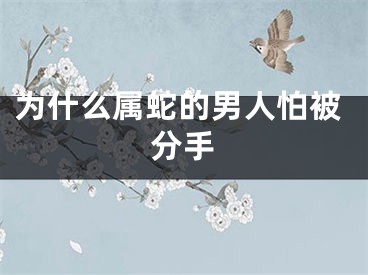 为什么属蛇的男人怕被分手