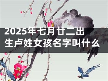 2025年七月廿二出生卢姓女孩名字叫什么