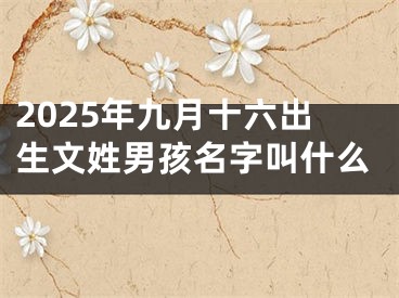 2025年九月十六出生文姓男孩名字叫什么