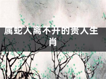 属蛇人离不开的贵人生肖