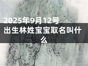 2025年9月12号出生林姓宝宝取名叫什么