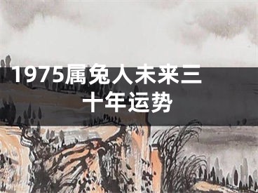 1975属兔人未来三十年运势