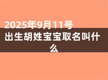 2025年9月11号出生胡姓宝宝取名叫什么