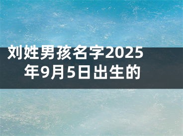 刘姓男孩名字2025年9月5日出生的