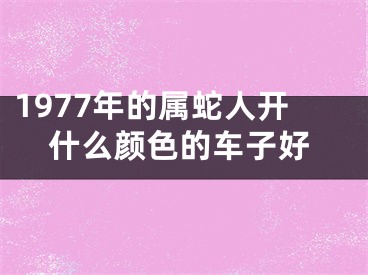 1977年的属蛇人开什么颜色的车子好