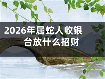2026年属蛇人收银台放什么招财
