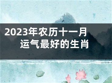 2023年农历十一月运气最好的生肖