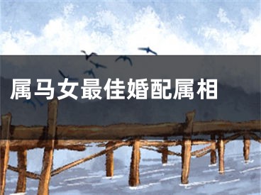 属马女最佳婚配属相 