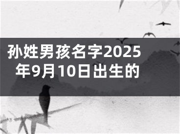 孙姓男孩名字2025年9月10日出生的