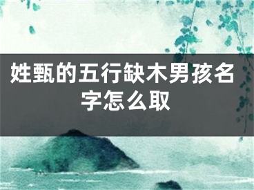 姓甄的五行缺木男孩名字怎么取