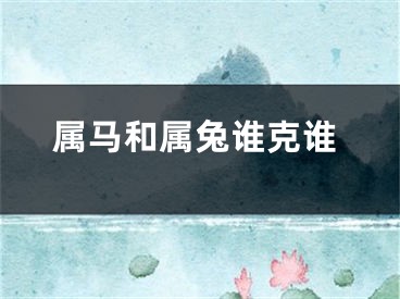 属马和属兔谁克谁