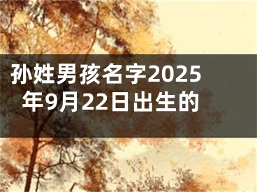 孙姓男孩名字2025年9月22日出生的