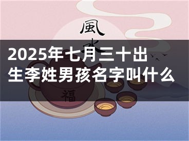 2025年七月三十出生李姓男孩名字叫什么
